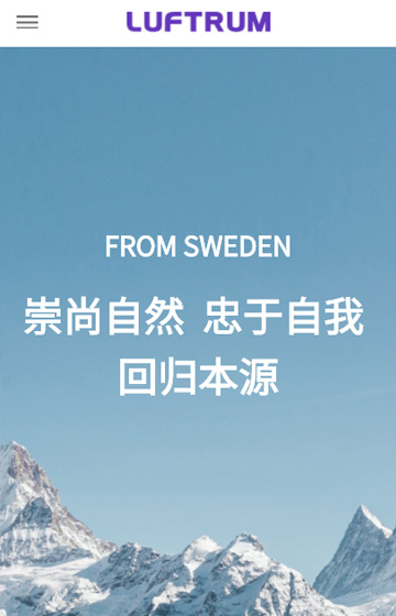 瑞松電器網(wǎng)站案例圖片0