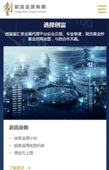 創(chuàng)富盈匯集團有限公司網站案例圖片2