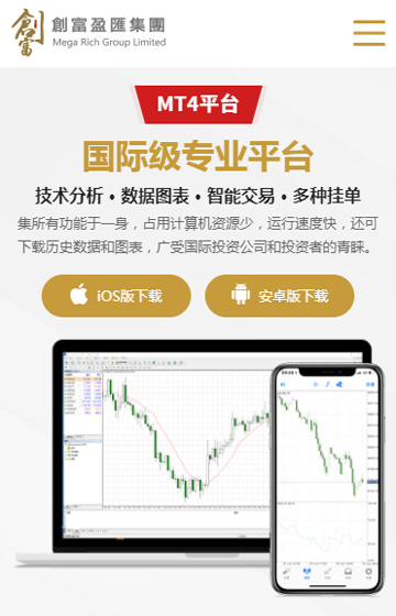 創(chuàng)富盈匯集團有限公司網站案例圖片3