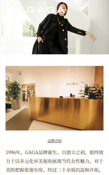 瑤林服飾網(wǎng)站案例圖片3