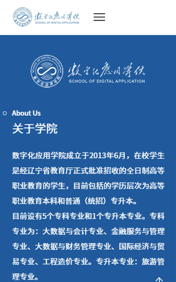 大連財經(jīng)學(xué)院網(wǎng)站案例圖片1