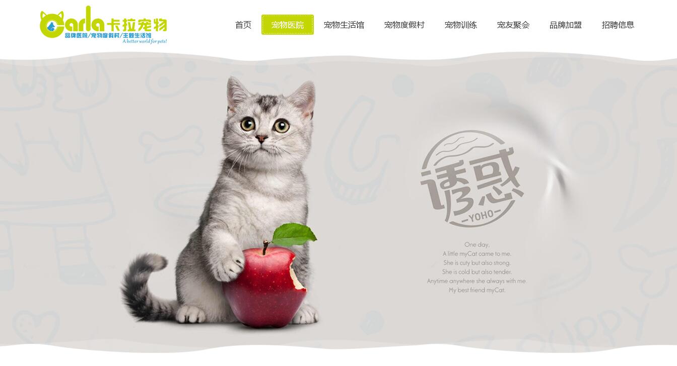 寵物網(wǎng)站設(shè)計(jì)